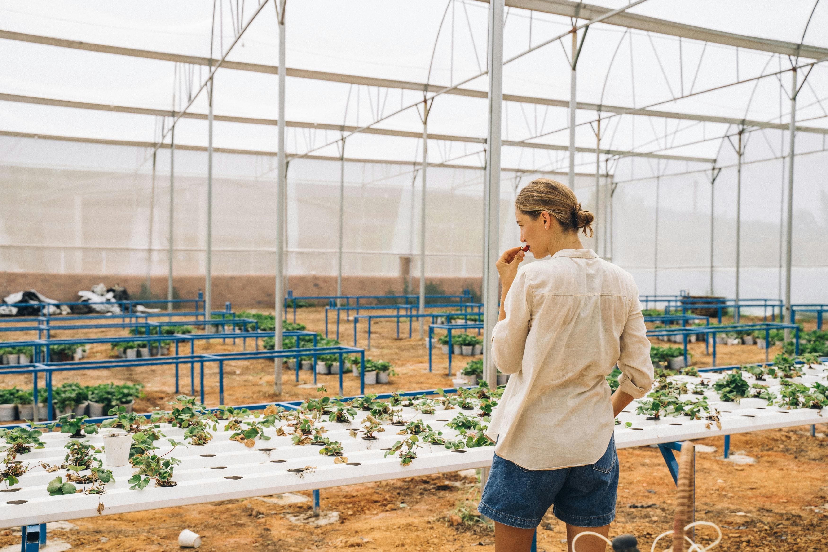 pexels-anntarazevich-7299982