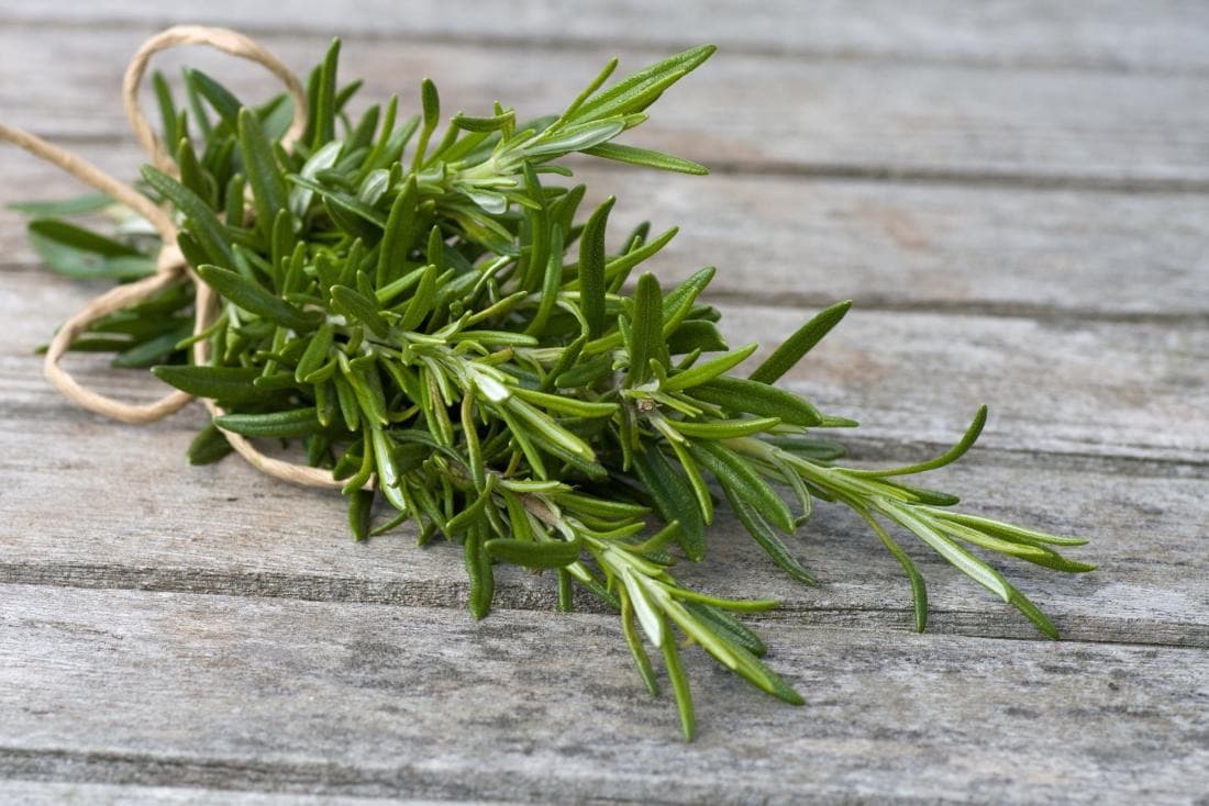 rosemary-leaves-bound-in-rope-on