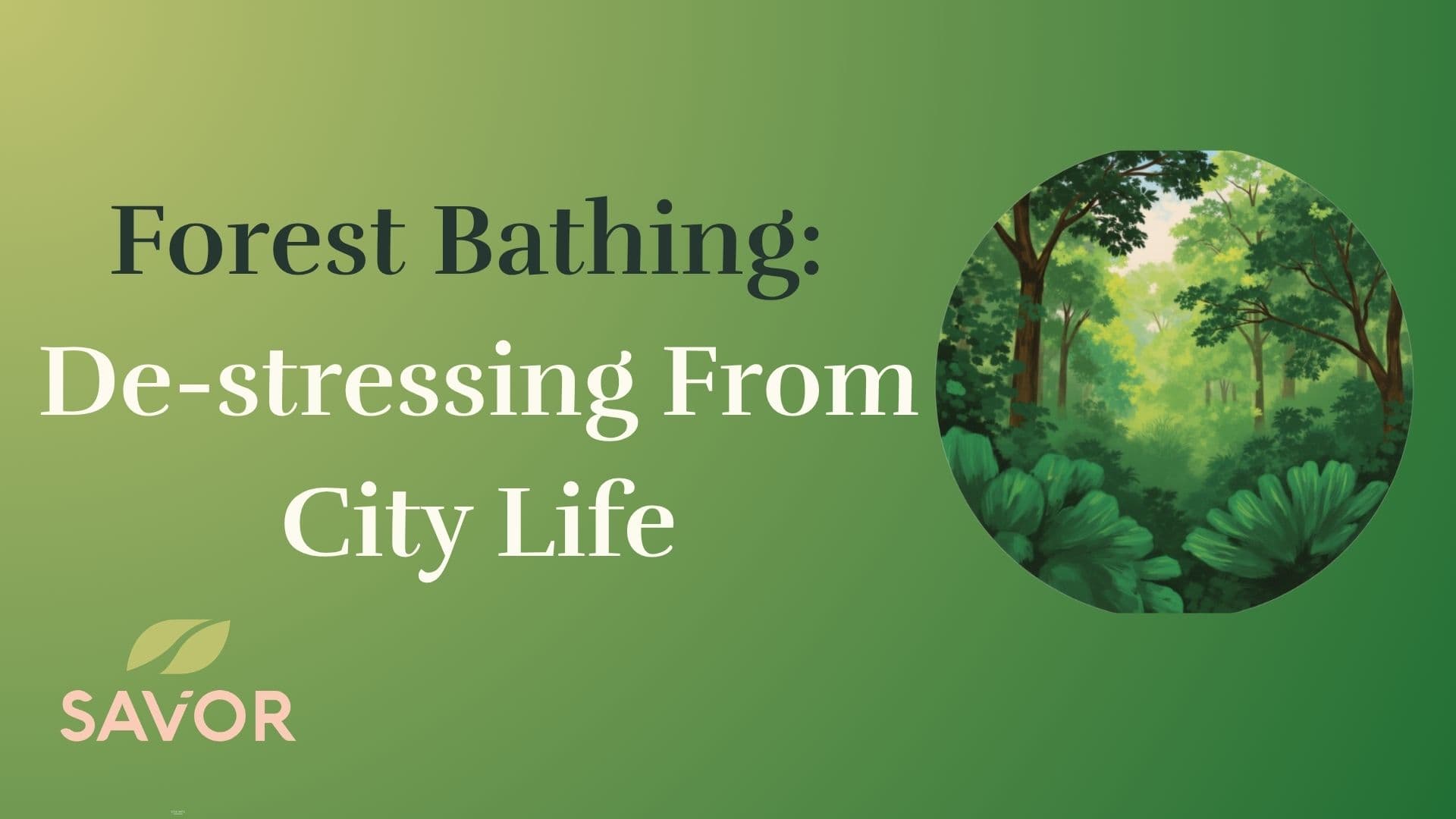 Forest Bathing: De-stressing From City Life