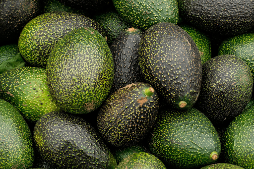 avocado
