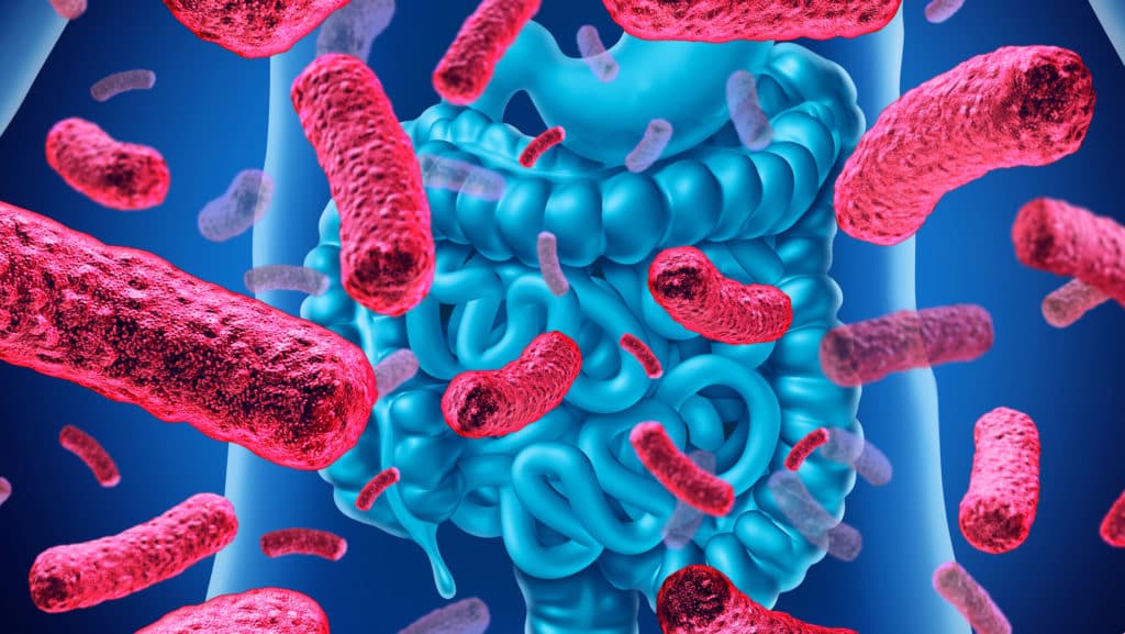 microbiota-1024x577