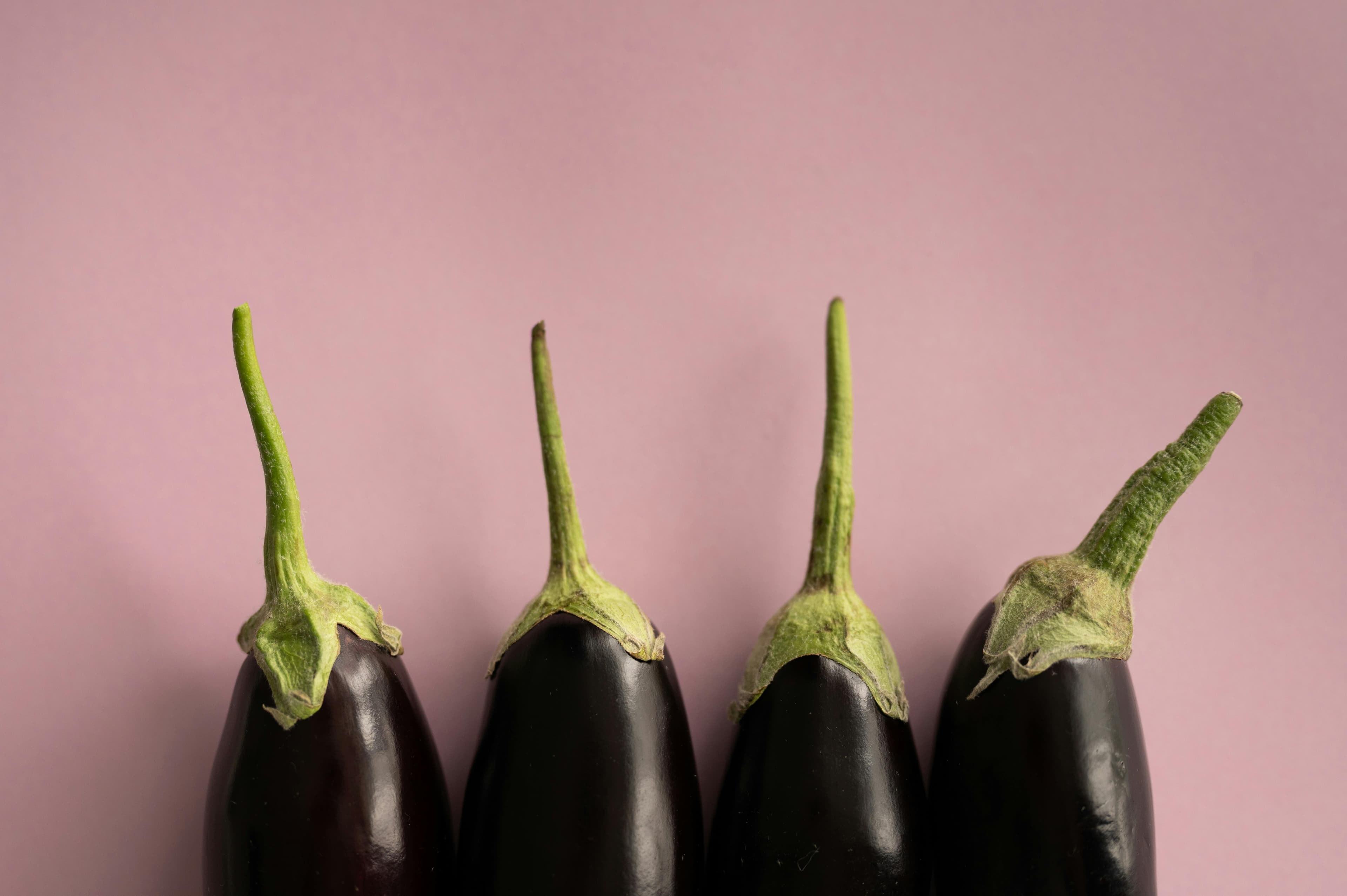 Eggplant: Purple Powered Plant