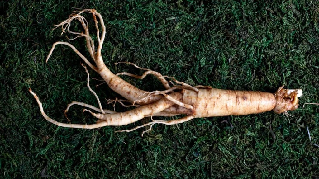 Ginseng-Overhead-Food-1296x728-Header-1024x575