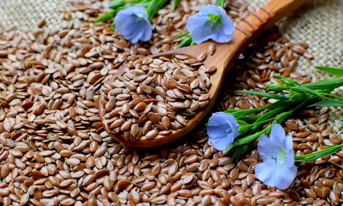 Is-Flaxseed-Good-for-Diabetes-1200x720