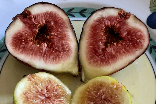 fig