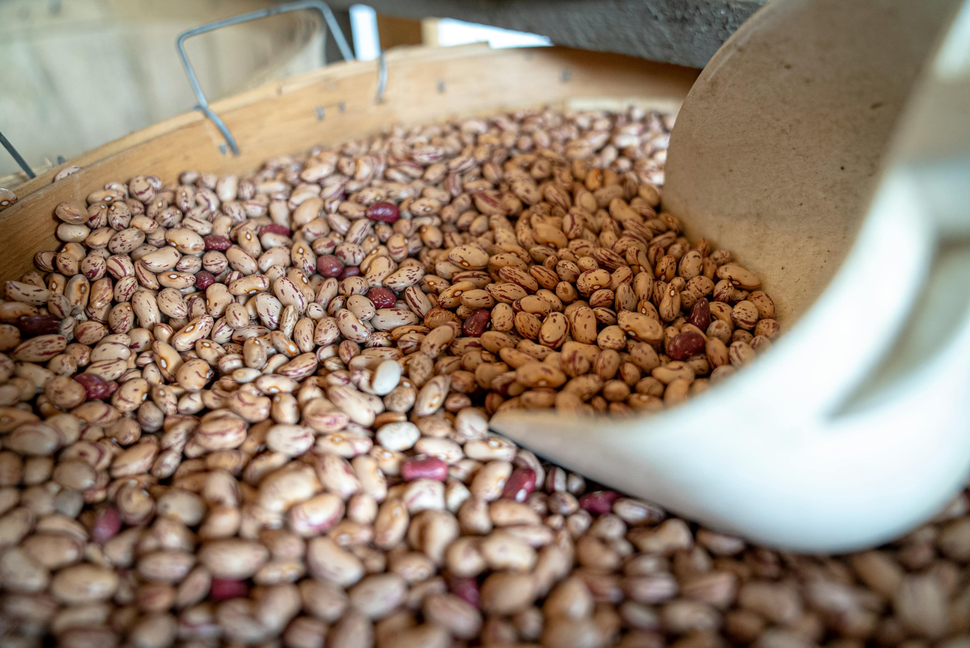 pexels-nc-farm-bureau-mark-7509364