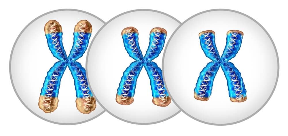 telomeres-and-aging-1