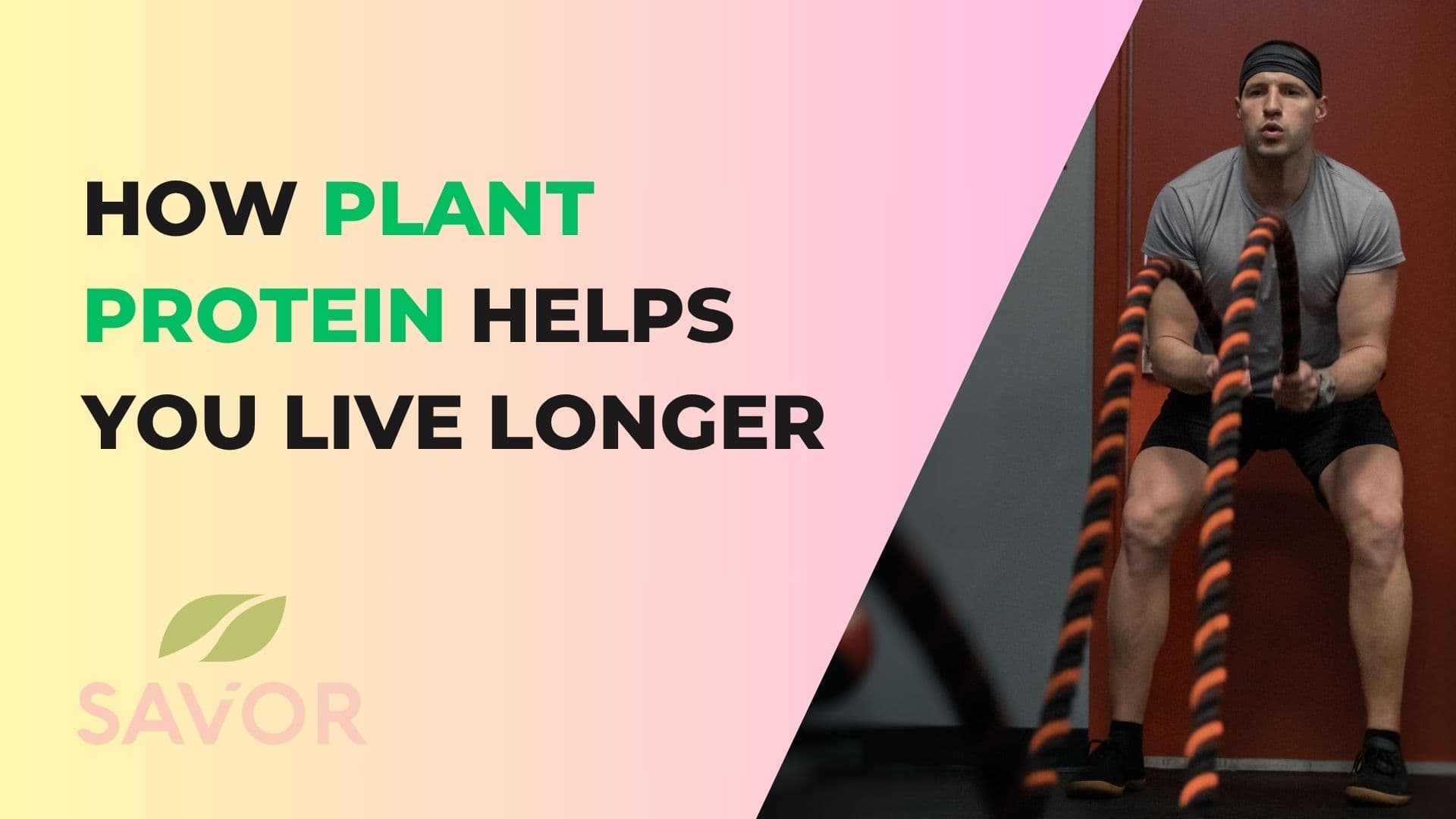 How Plant Protein Helps You Live Longer