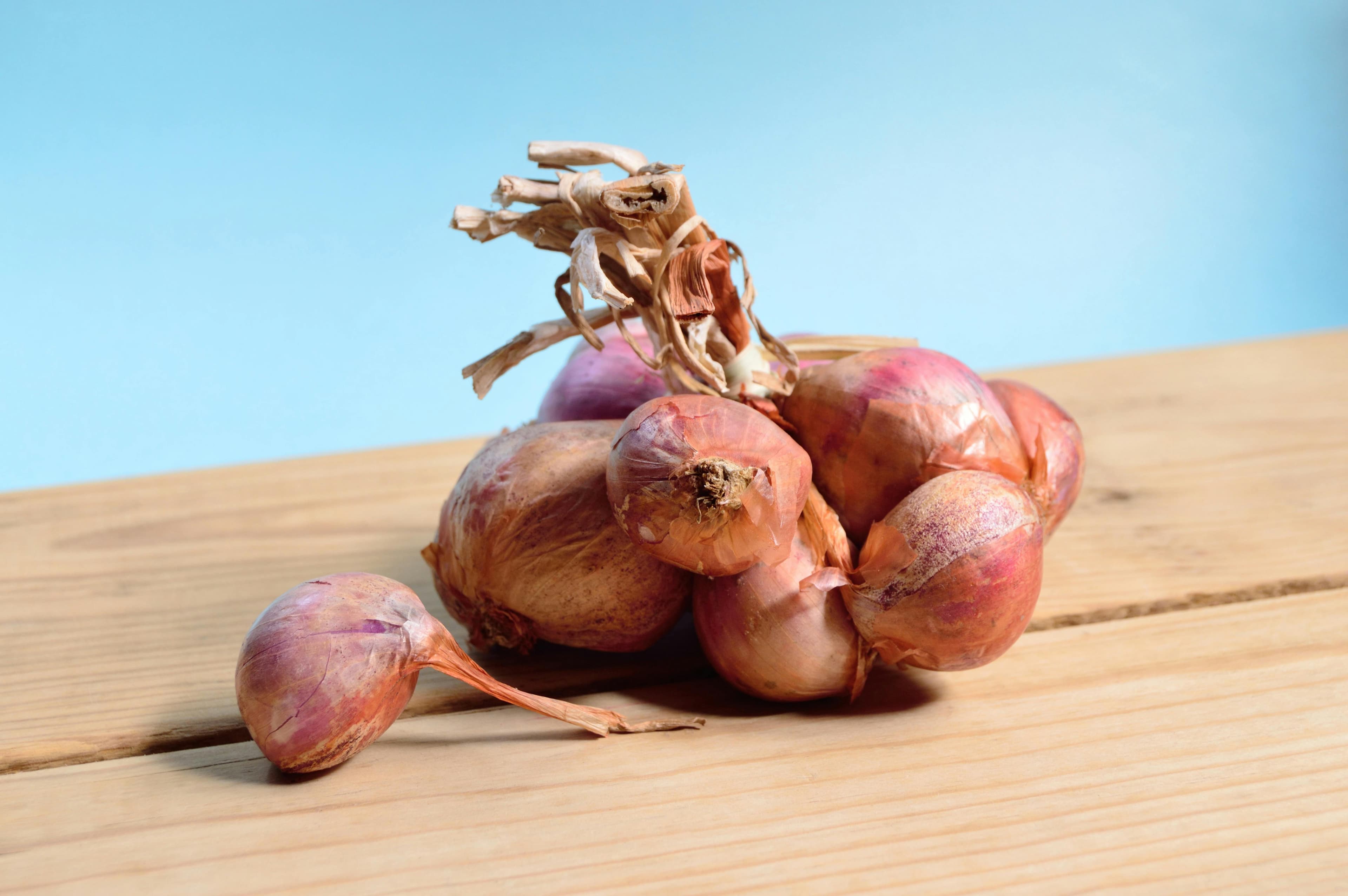 7 Tasty Facts About Onions